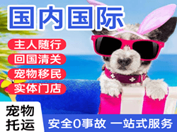 湘西边城机场快递国际宠物托运 【国
